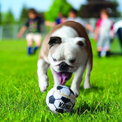 Kong Sport Balls. Bolas saltitantes para cães