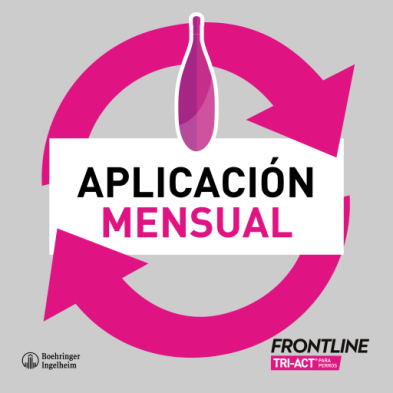 3 Pipetas Frontline Tri-Act Solução Spot-On para cães