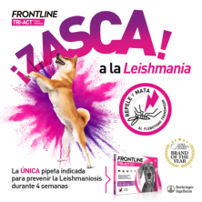 3 Pipetas Frontline Tri-Act Solução Spot-On para cães