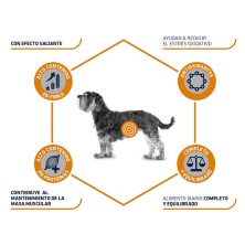 Advance Veterinary Diet Diabetes Colitis Canine para cães com diabetes