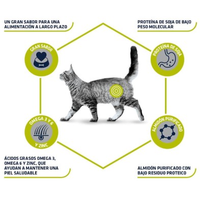 Advance Veterinary Diet Hypoallergenic Feline. Gatos com intolerancias o alergias