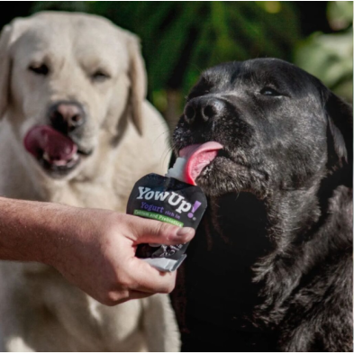 YowUp! Iogurte Natural com Prebióticos para Cães. superpet.club
