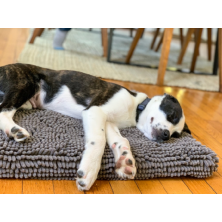 Tapete absorvente para cachorro sujo cinza