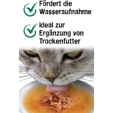 Leonardo Drink Salmón. Sopa de Salmón para Gatos