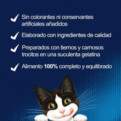 Felix Fantastic Saquetas de Gelatina para Gatos Festa do Mar com vários peixes