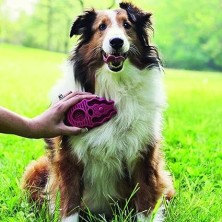 Escova de banho para cães em borracha Kong