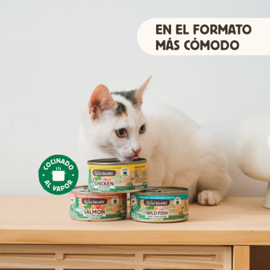 Wild Balance Gato Lata BARF cocinado al vapor PESCADO SALVAJE y PAVO con Verduras Frescas