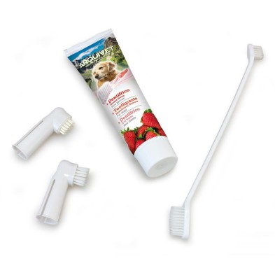 Arquivet Dental Set de vários sabores para cães 100 g