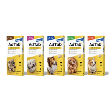 AdTab Antiparasitario comprimido masticable para perros