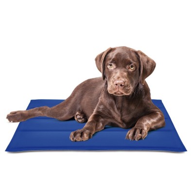 Colchão refrigerante para cães e gatos Nayeco Cool Mat Gel Azul