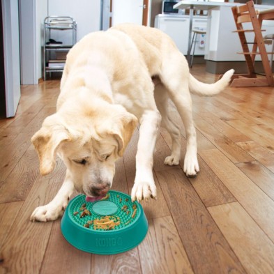 KONG Licks Spinz: Diversão para cães activos