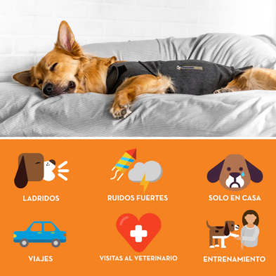 Colete relaxante para cães ThunderShirt - Alivia a ansiedade e o stress