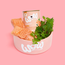 Comida Húmida para Cães Salmão com Dente de Leão 400g - WOW Pet