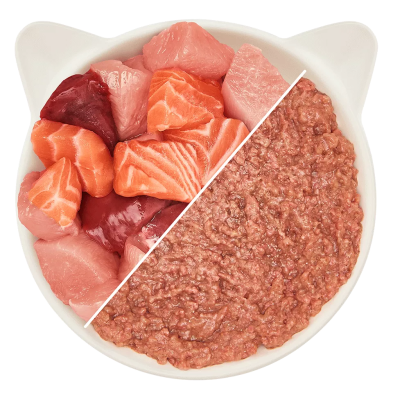 Comida Húmeda para Gatos Bocadillo de Pollo y Salmón 125g – WOW Pet
