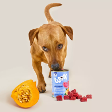 Comida Húmida para Cães Cordeiro com Abóbora 400g - WOW Pet