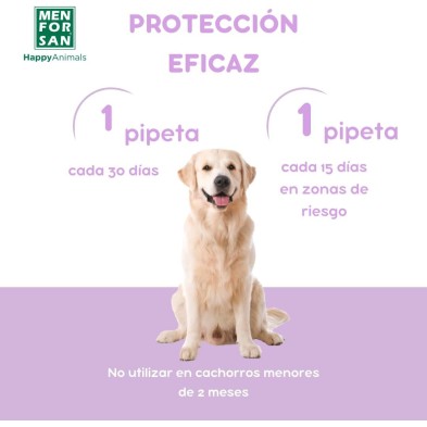 Menforsan pipeta Anti-Insectos perros 2 unidades
