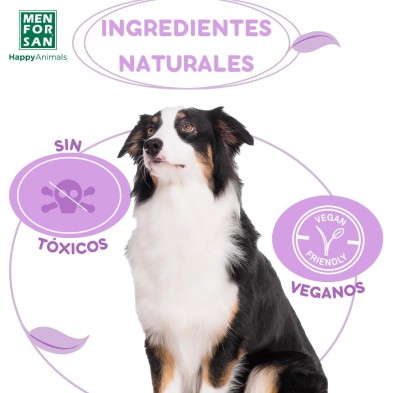 Menforsan pipeta Anti-Insectos perros 2 unidades
