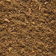 Alimento húmido para pássaros Versele-Laga NutriBird Paté de Insectos para Aves
