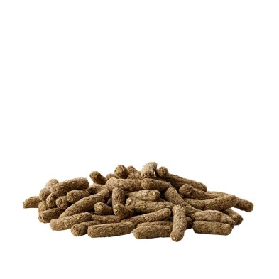 Ração completa saborosa em pellets Versele-Laga para porquinhos-da-índia