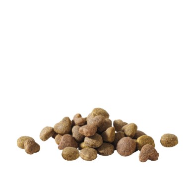 Ração seca para cães ativos Versele-Laga Happy Life Adult Chicken Dog Food