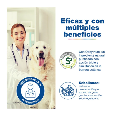 Douxo S3 Seb Champú Antiolor Y Seborregulador para Perros y Gatos