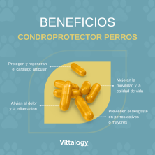 Vittalogy Condroprotector Para Perros 120 Cap