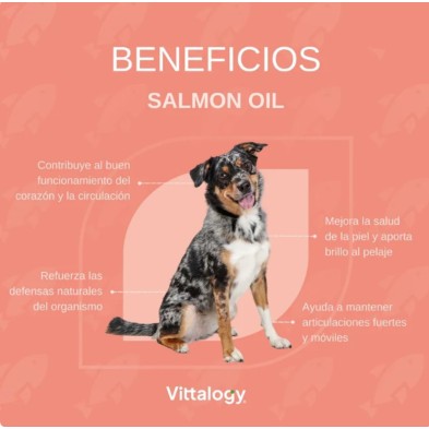 Aceite de salmón 500 ml I Vittalogy Aceite de Salmón para Perros y Gatos