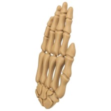 Delicioso snack de halloween I Trixie Snack Mano Hueso con Pollo para Perros 15 cm