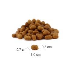 Platinum MeatCrisp Cat Adult Sterilised Pescado