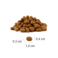 Platinum MeatCrisp Kitten Pollo
