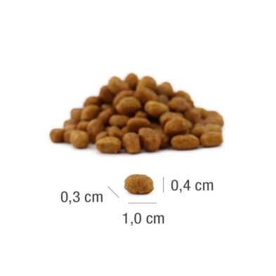 Platinum MeatCrisp Kitten Pollo