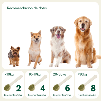 Wild Balance BARF EN UNO suplemento para perros y gatos
