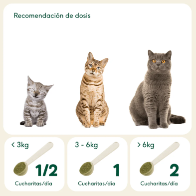 Wild Balance BARF EN UNO suplemento para perros y gatos