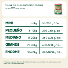 Wild Balance Lata BARF SALMÓN Y TERNERA con Verduras Frescas