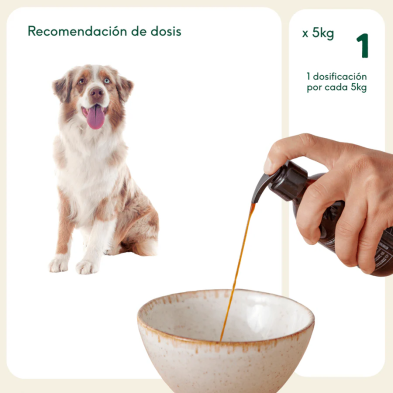 Wild Balance ACEITE SARDINA DEL MAR DEL NORTE para perros y gatos