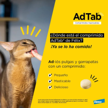 3 comprimidos antiparasitarios gatos I AdTab Antiparasitario 3 comprimidos masticables para gatos