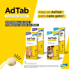 3 comprimidos antiparasitarios gatos I AdTab Antiparasitario 3 comprimidos masticables para gatos