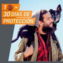 FrontPro pastilhas antiparasitárias para cães