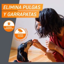 FrontPro pastilhas antiparasitárias para cães