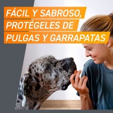 FrontPro pastilhas antiparasitárias para cães