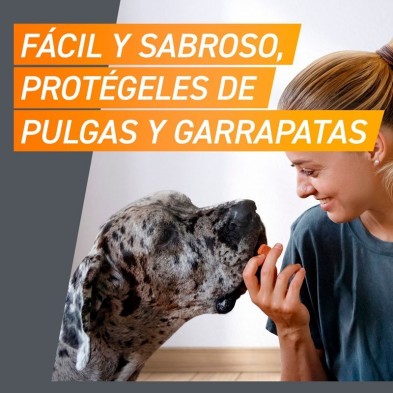 FrontPro pastilhas antiparasitárias para cães