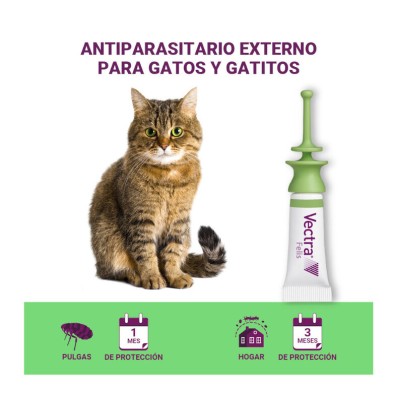 Vectra Felis Pipetas Antiparasitarias para Gatos 3 Pipetas