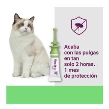 Pipetas para gatos Vectra Felis 3 unidades