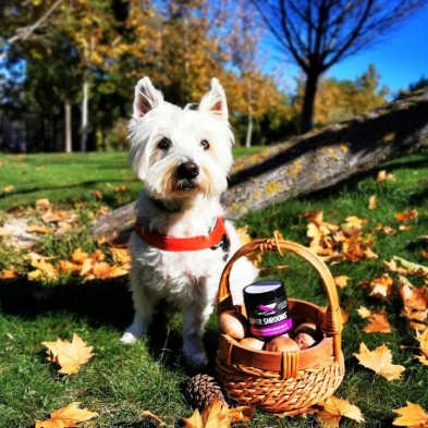 Nevanto Super Snouts Super Shrooms Sistema Inmune
