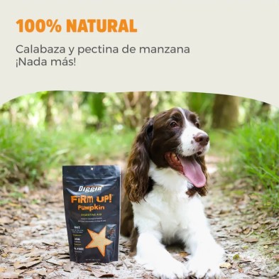 Nevanto Firm Up! Pumpkin Original Prebiótico