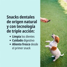 Virbac Veggiedent Fresh Veggiedent Snack Dental Vegetariano para Cães