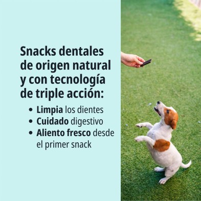 Virbac Snack Dental Vegetariano Veggiedent Fresh Para Perro