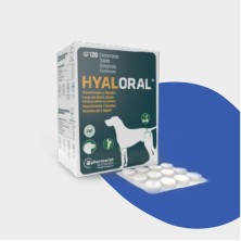 Hyaloral Perros Razas grandes y Gigantes Condroprotector