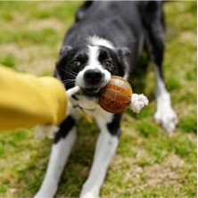 Retorn Rub Floating Dental Ball