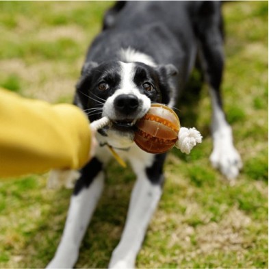Retorn Rub Floating Dental Ball